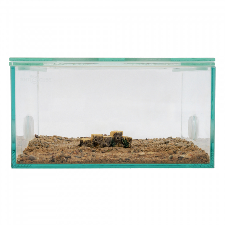 Decorative tree stump row